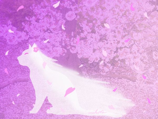 なごり桜