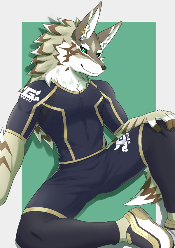 セトと運動