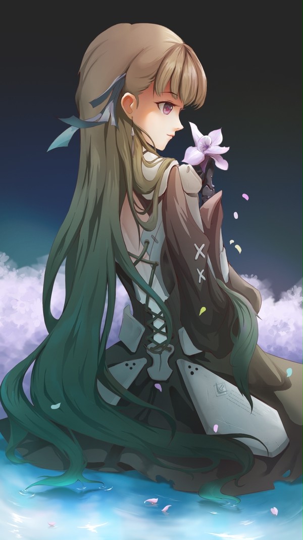 赛琳娜—鸢尾花
