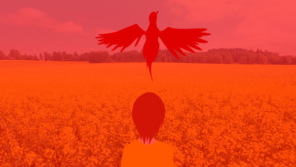 認識の鳥