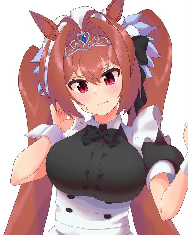 メイドダイワスカーレット