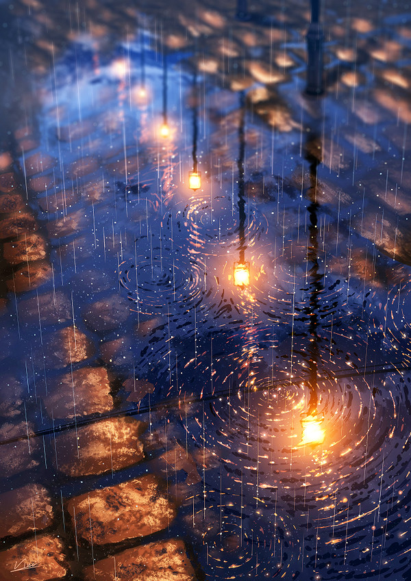 雨の道 - 1/1