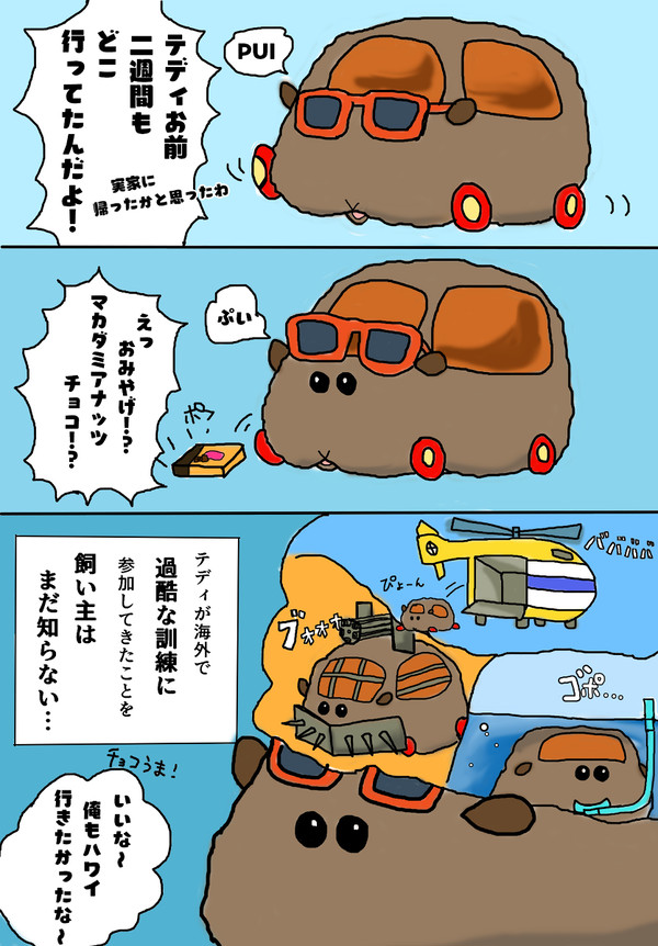 テディのちょっとした秘密