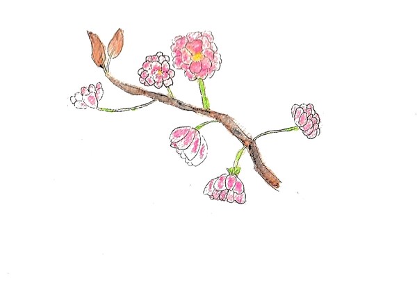 新年度祝賀2021・里桜