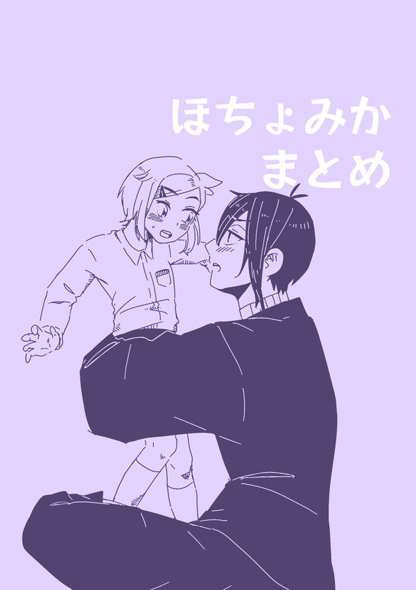 ほちょみかまとめ