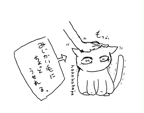 こんな感じです