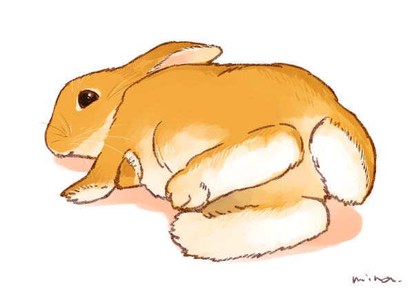 うさけつようび