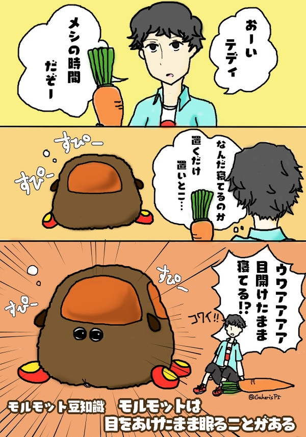 テディのうたた寝