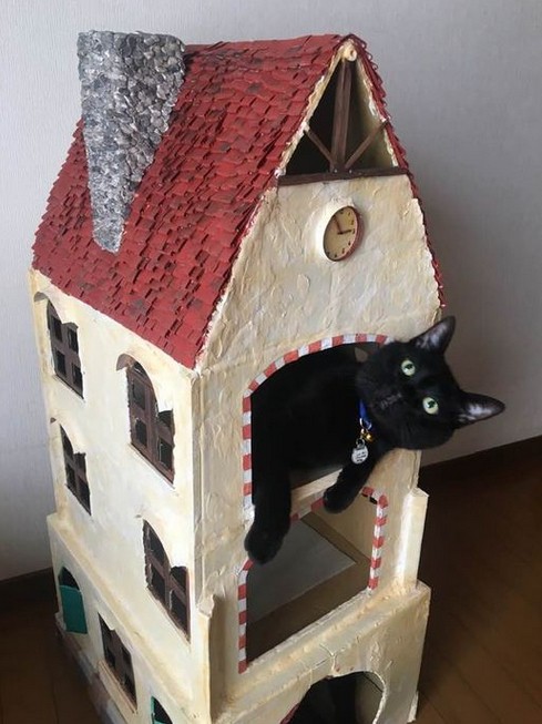 cat house