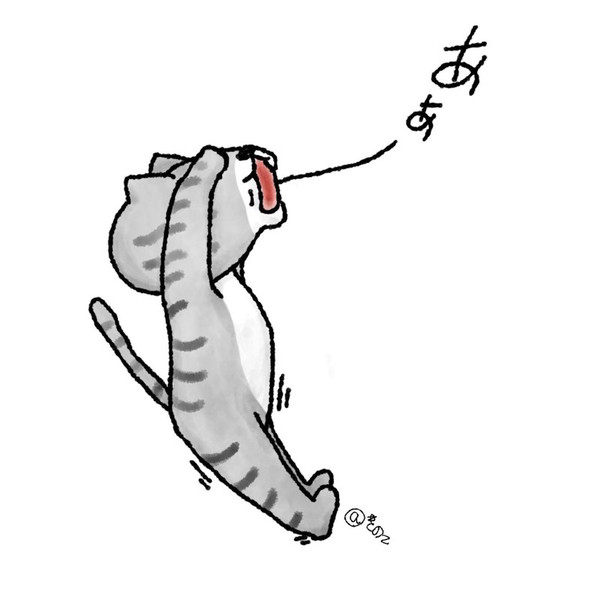 体制維持猫