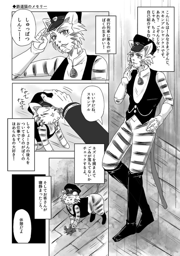 鉄道猫のメモリー