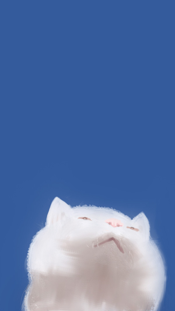 白猫