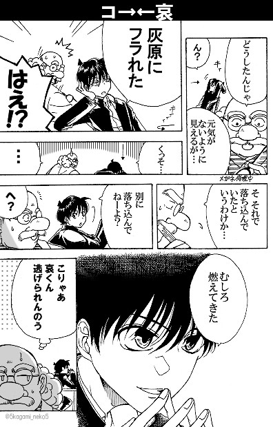 コ哀