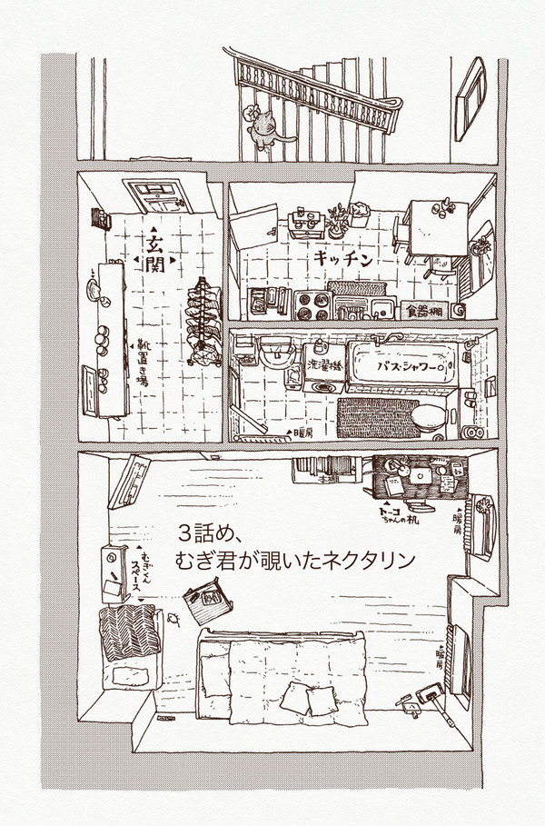 「むぎくんが覗いたネクタリン」
