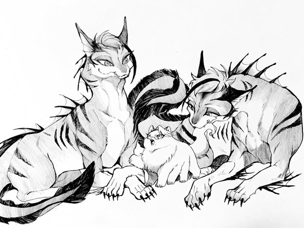 ウツボネコとタコネコ