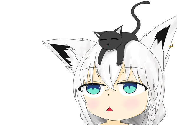 白上と猫