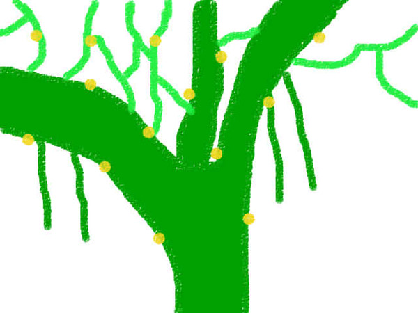 Albero fiorito