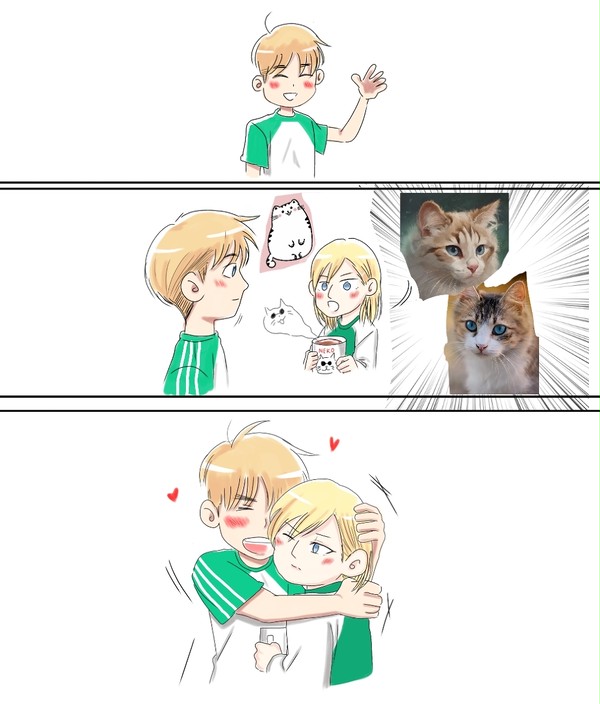 cat