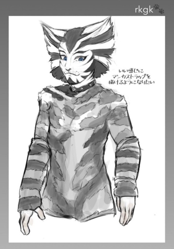 猫練習