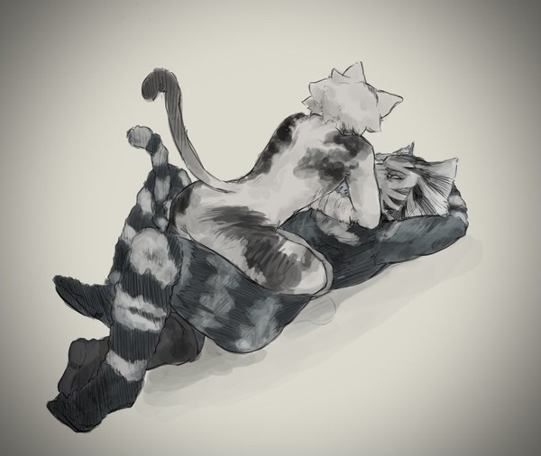 喧嘩猫とリーダー
