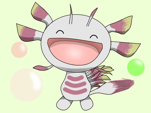 タマミツネ・・・・・？