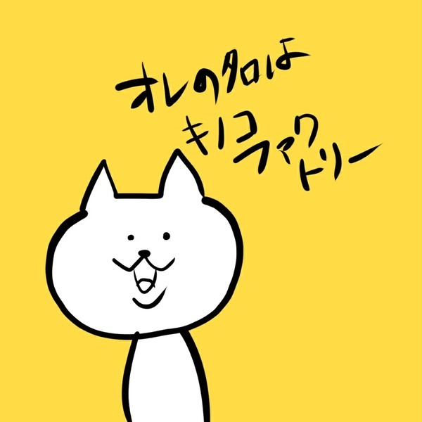 ねこ11連発