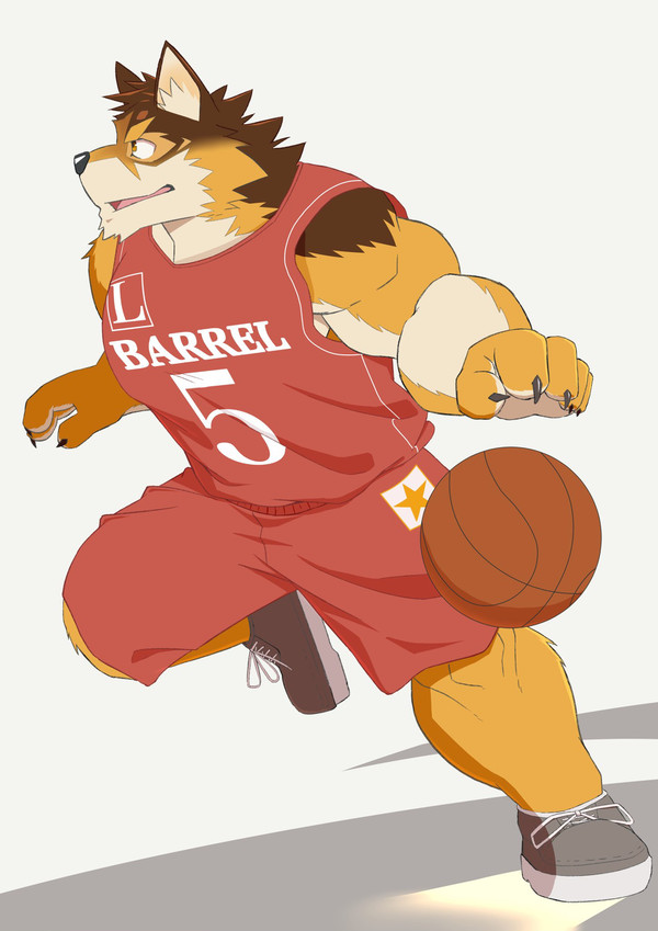 バレルくん🏀