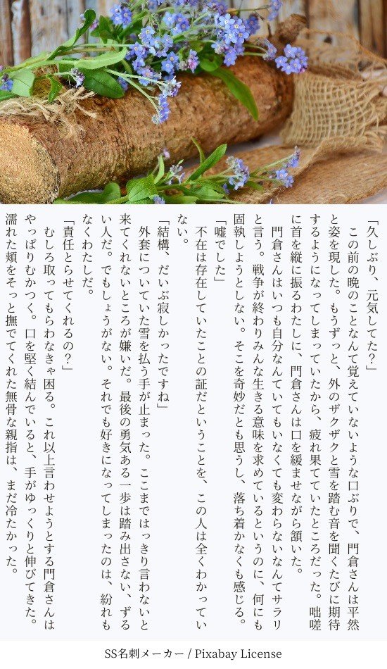 掌編