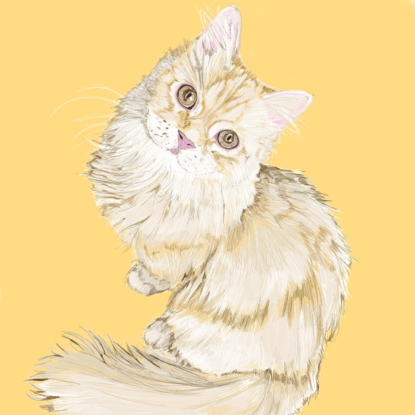 ネコのイラスト
