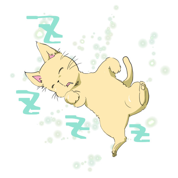 仰向けで寝る猫ちゃん