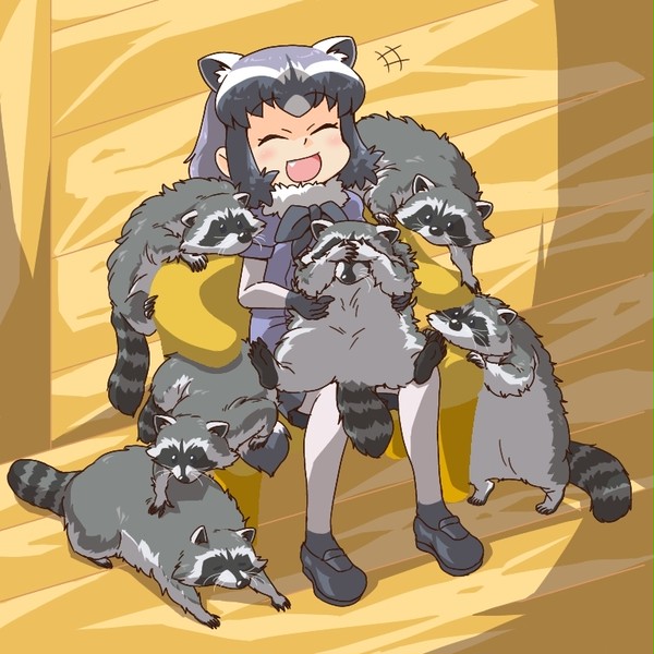 恥ずかしがり屋のアライグマ