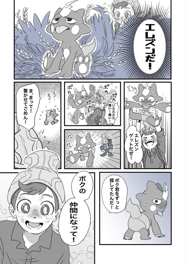 剣盾らくがき