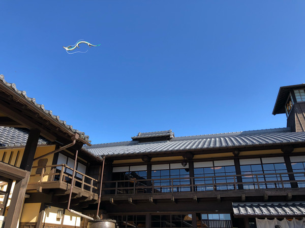 空を泳ぐ