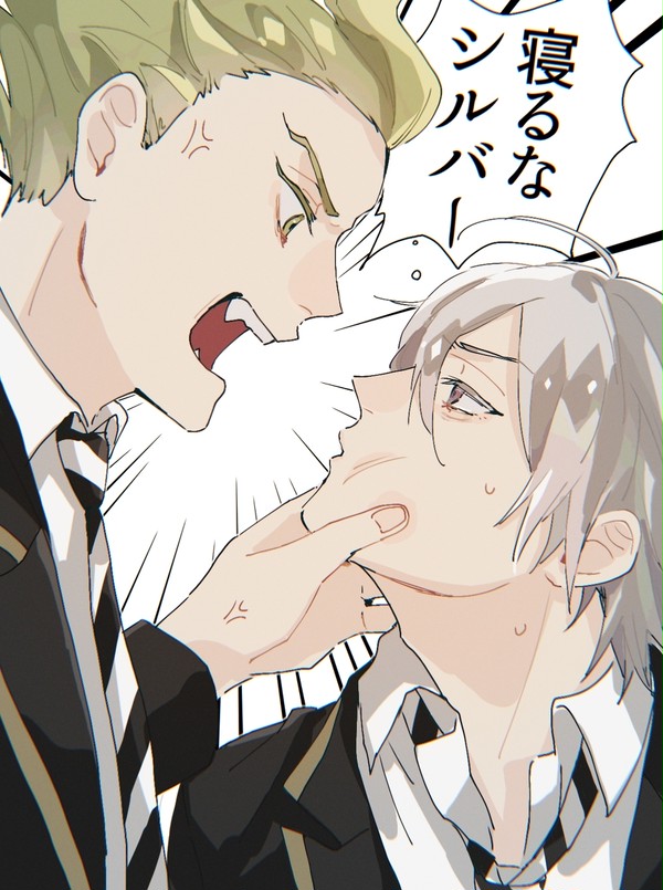 セベシルまとめ
