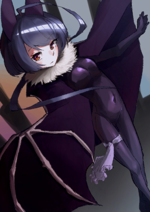 コウモリっぽいこ