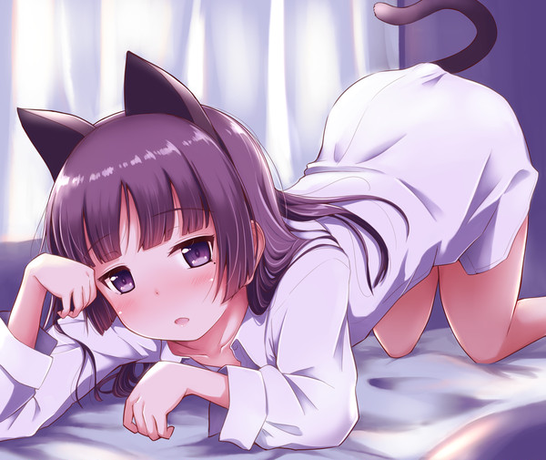 猫詰め・其の拾参【13】