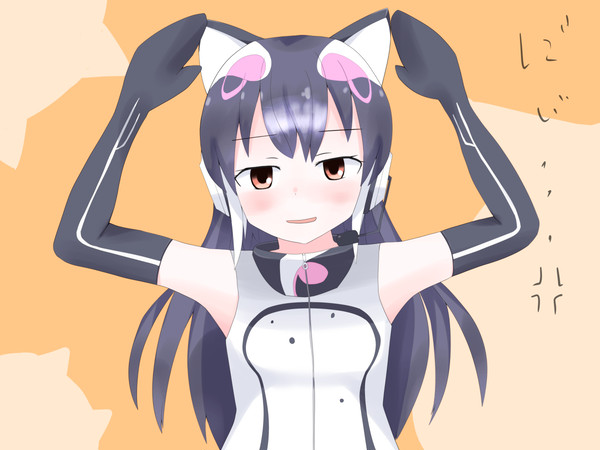 無理にゃんにゃん