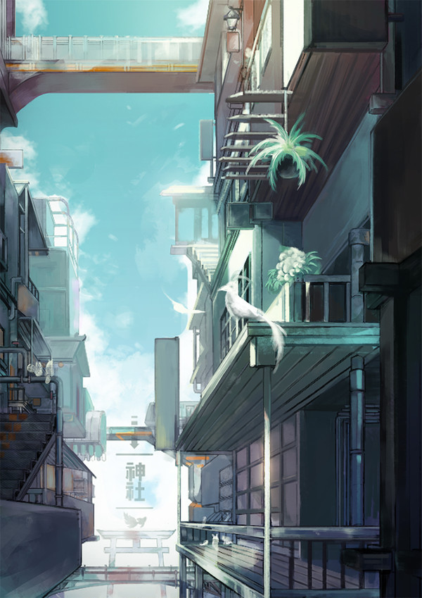 清晨