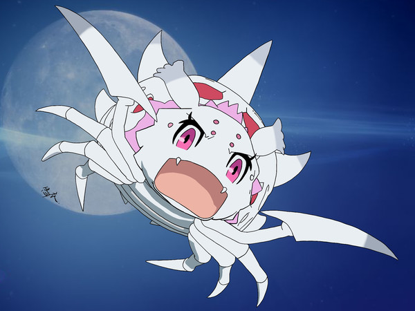 蜘蛛子