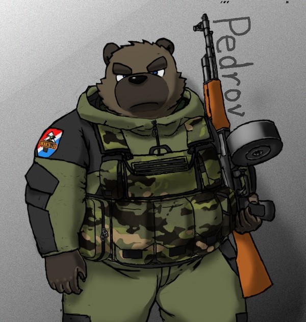 Bear, AK, and Drum Magazine
