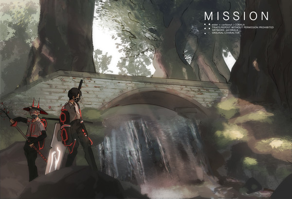 mission