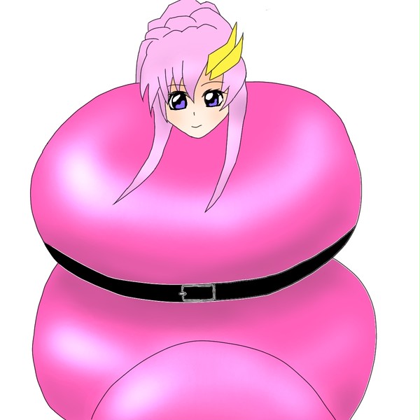 スリープサック