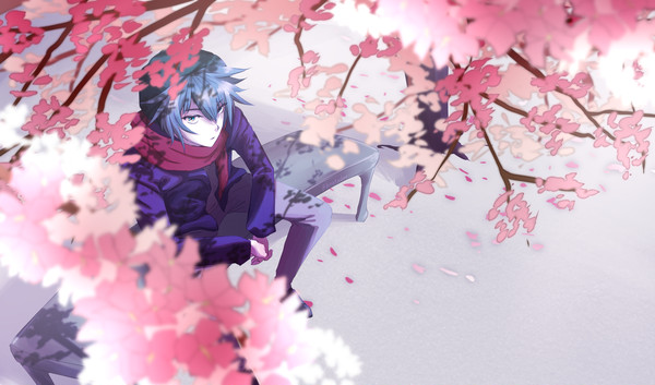 under the cherry blossoms