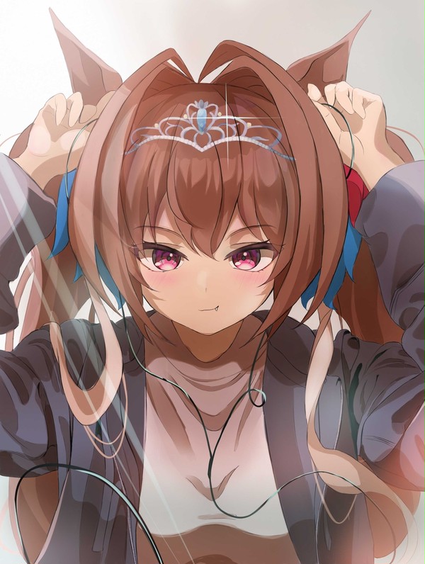 🎧ダイワスカーレット🎧