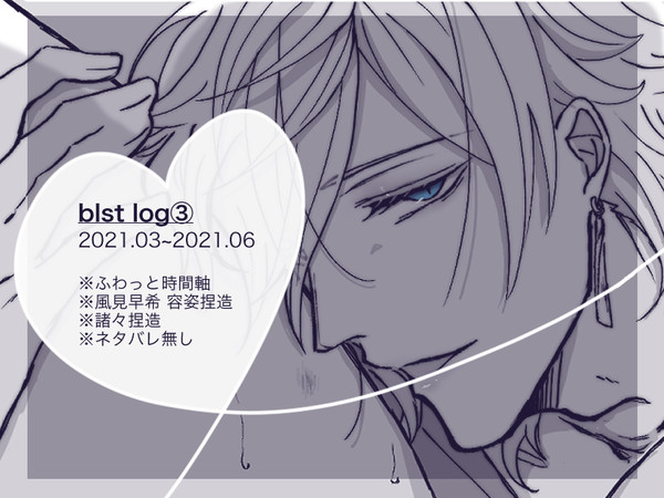 blst log③