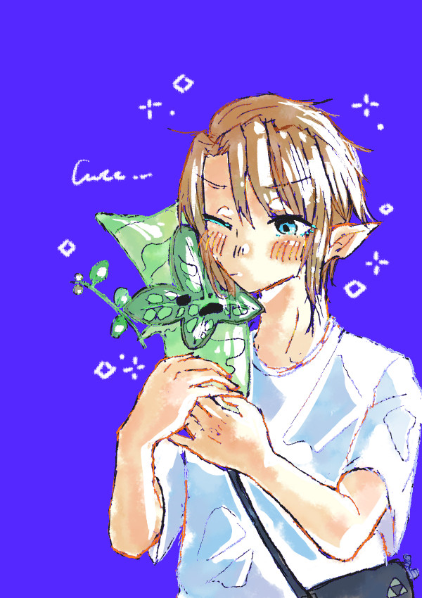 私服勇者とコログ