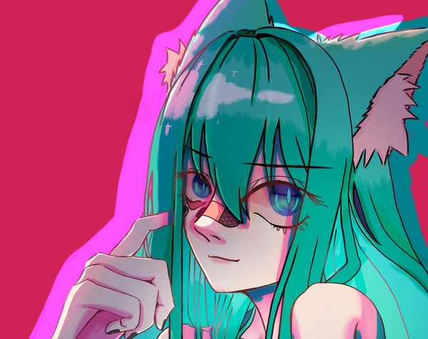 绿猫猫