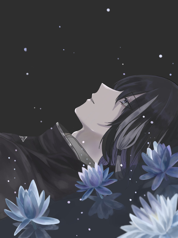 睡蓮