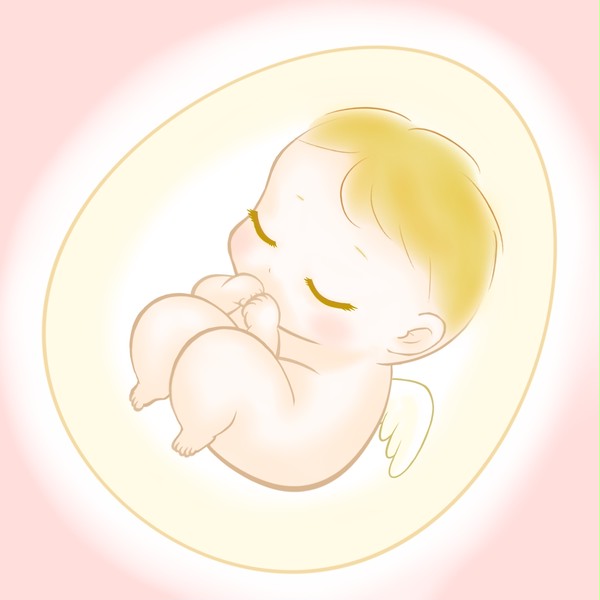 天使のたまご