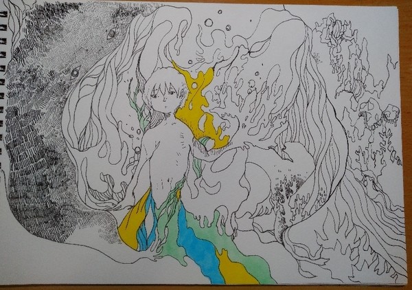 海